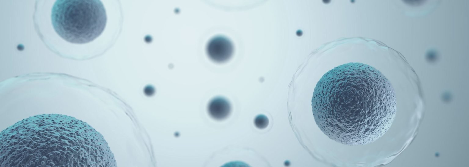 Why Stem Cells? Blog by NeoGenesis